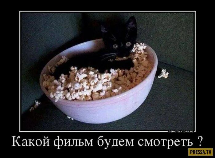 Какой фильм будем смотреть ?