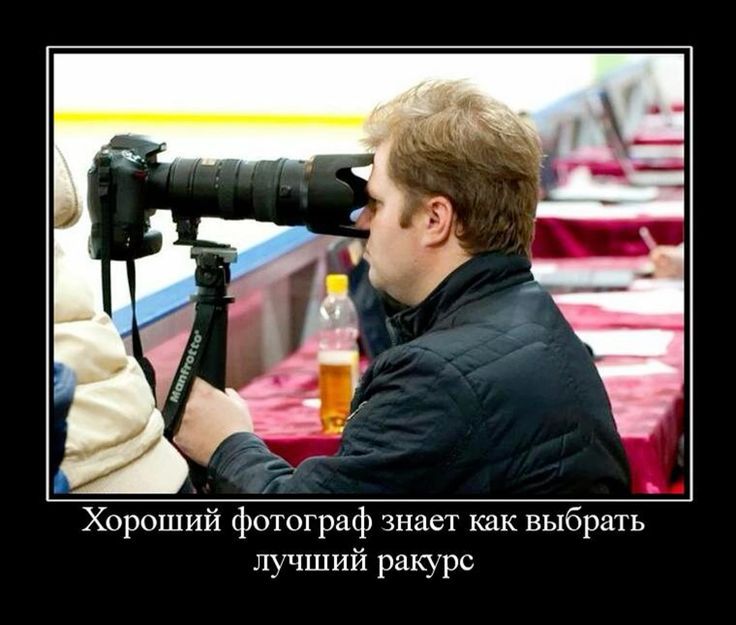 Хороший фотограф знает как выбрать лучший ракурс