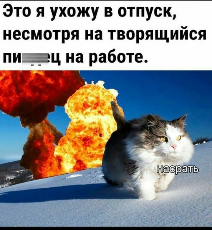 Это я ухожу в отпуск, несмотря на творящийся пи...ц на работе. насрать
