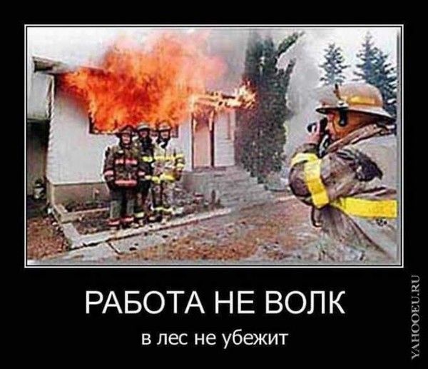 РАБОТА НЕ ВОЛК в лес не убежит
