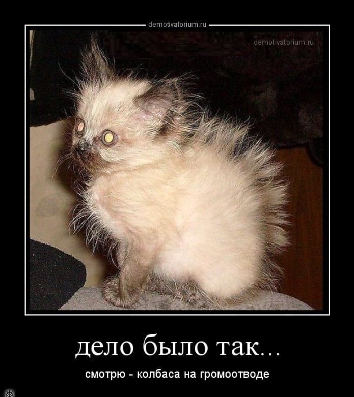 дело было так...