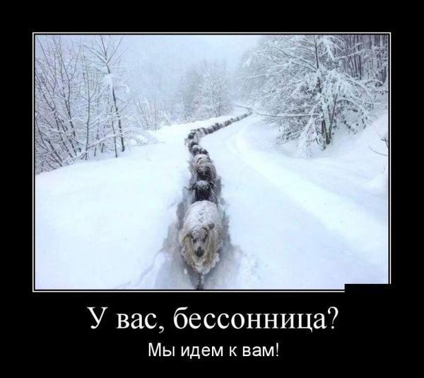 У вас, бессонница? Мы идем к вам!