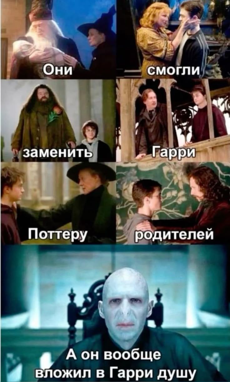 Они смогли заменить Гарри Поттеру родителей\nА он вообще вложил в Гарри душу