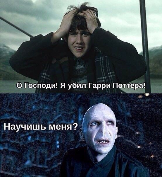 О Господи! Я убил Гарри Поттера!\nНаучишь меня?