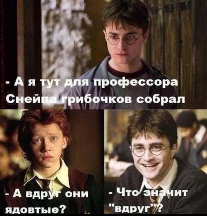 - Я тут для профессора Снейпа грибочков собрал
- А вдруг они ядовитые?
- Что значит 