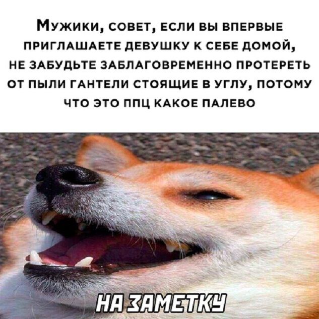 Мужики, совет, если вы впервые приглашаете девушку к себе домой, не забудьте загладить протереть от пыли гантели стоящие в углу, потому что это пцп какое палево