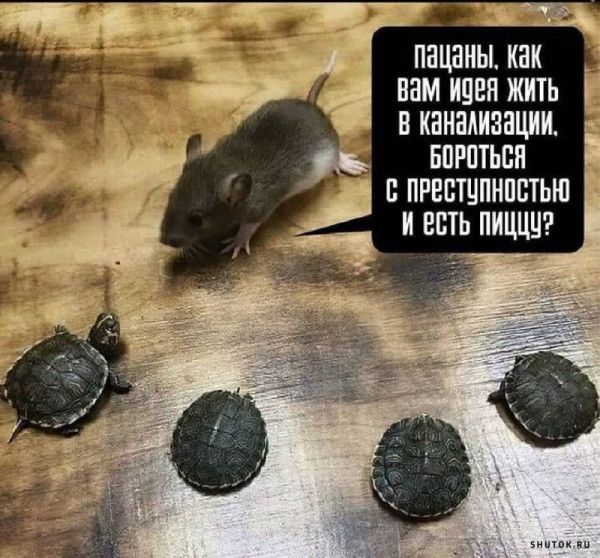 Пацаны, как вам идея жить в канализации. Бороться с преступностью и есть пищу?