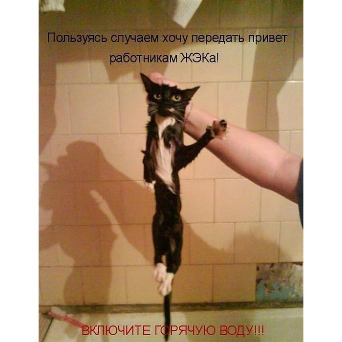 Пользуясь случаем хочу передать привет работникам ЖЭКа! ВКЛЮЧИТЕ ГОРЯЧУЮ ВОДУ!!!