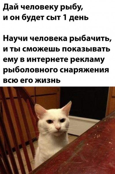 Дай человеку рыбу, и он будет сыт 1 день

Научи человека рыбачить, и ты сможешь показывать ему в интернете рекламу рыболовного снаряжения всю его жизнь