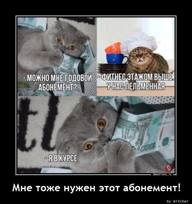 - можно мне годовой абонемент?
- фитнес этажом выше. у нас пельменная
- я в курсе
Мне тоже нужен этот абонемент!