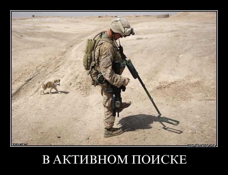 В АКТИВНОМ ПОИСКЕ