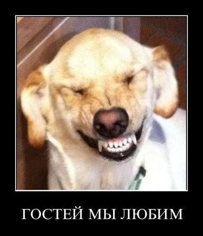 ГОСТЕЙ МЫ ЛЮБИМ