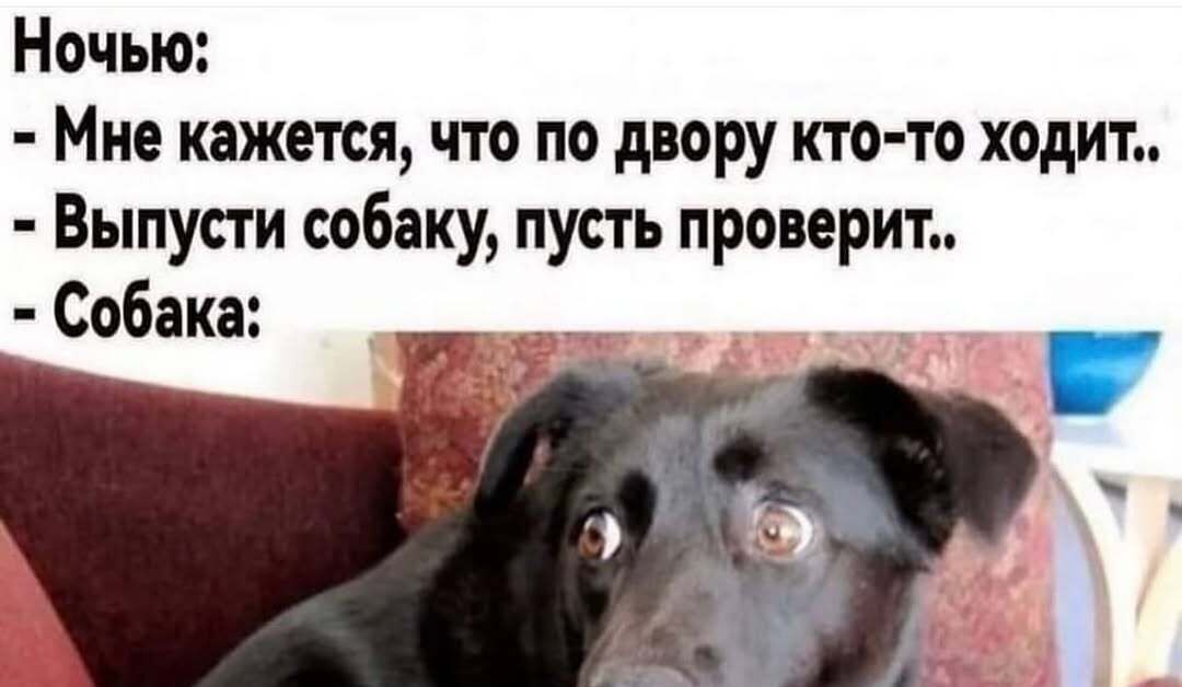 Ночью:
- Мне кажется, что по двору кто-то ходит..
- Выпусти собаку, пусть проверит..
- Собака: