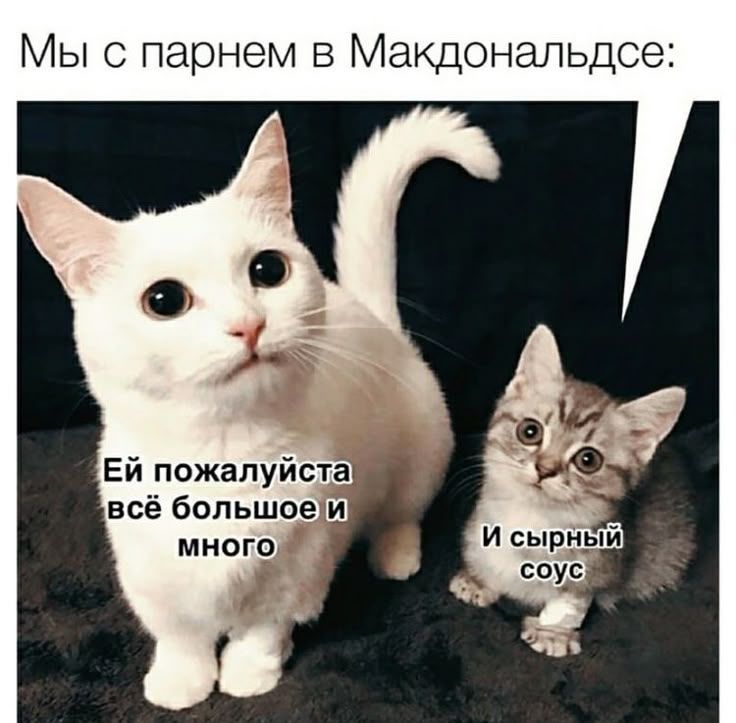 Мы с парнем в Макдональдсе: Ей пожалуйста всё большее и многое И сырный соус