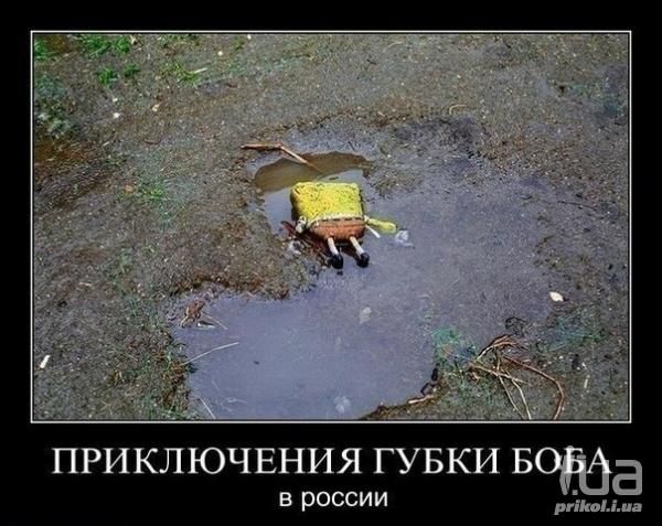 ПРИКЛЮЧЕНИЯ ГУБКИ БОВА в россии