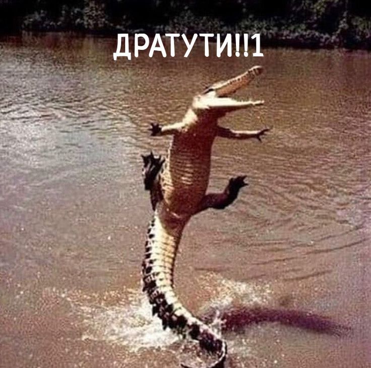 ДРАТУТИ!!