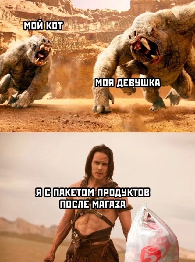 МОЙ КОТ 
МОЯ ДЕВУШКА 
Я С ПАКЕТОМ ПРЕДДУКТОВ ПОСЛЕ МАГАЗИНА