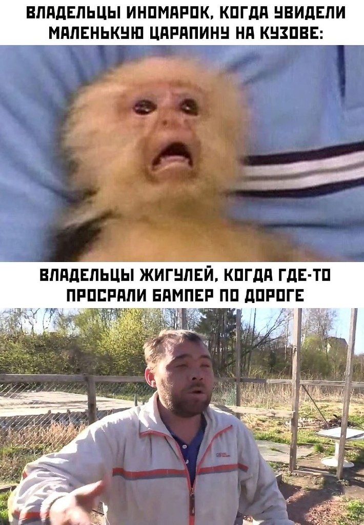 ВЛАДЕЛЬЦЫ ИНОМАРОК, КОГДА УВИДЕЛИ МАЛЕНЬКУЮ ЦАРАПИНУ НА КУЗОВЕ: ВЛАДЕЛЬЦЫ ЖИГУЛЕЙ, КОГДА ГДЕ-ТО ПРОСРАЛИ БАМПЕР ПО ДОРОГЕ