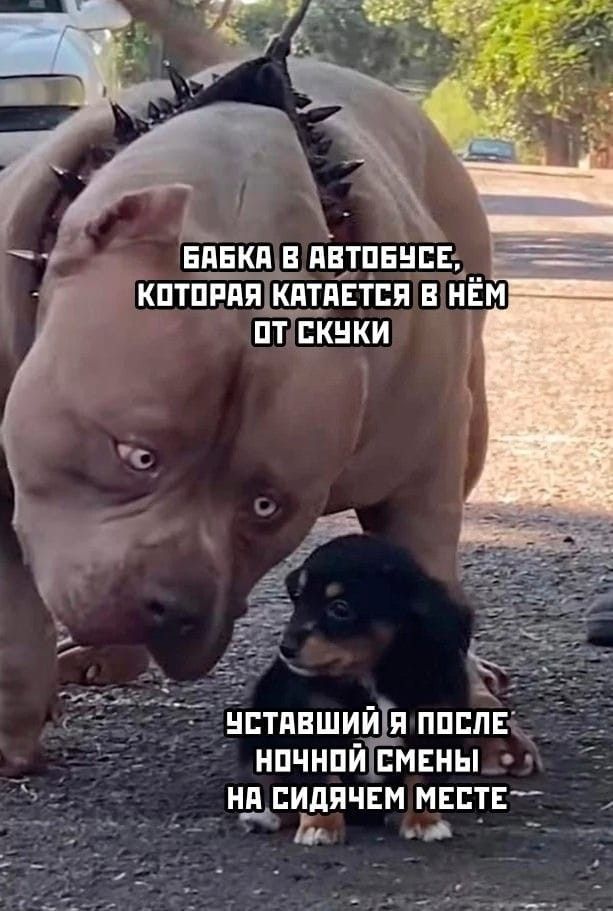 БАБКА В АВТОБУСЕ, КОТОРАЯ КАТАЕТСЯ ВЁМ ОТ СКУКИ
УСТАВШИЙ Я ПОСЛЕ НОЧНОЙ СМЕНЫ НА СИДЯЧЕМ МЕСТЕ