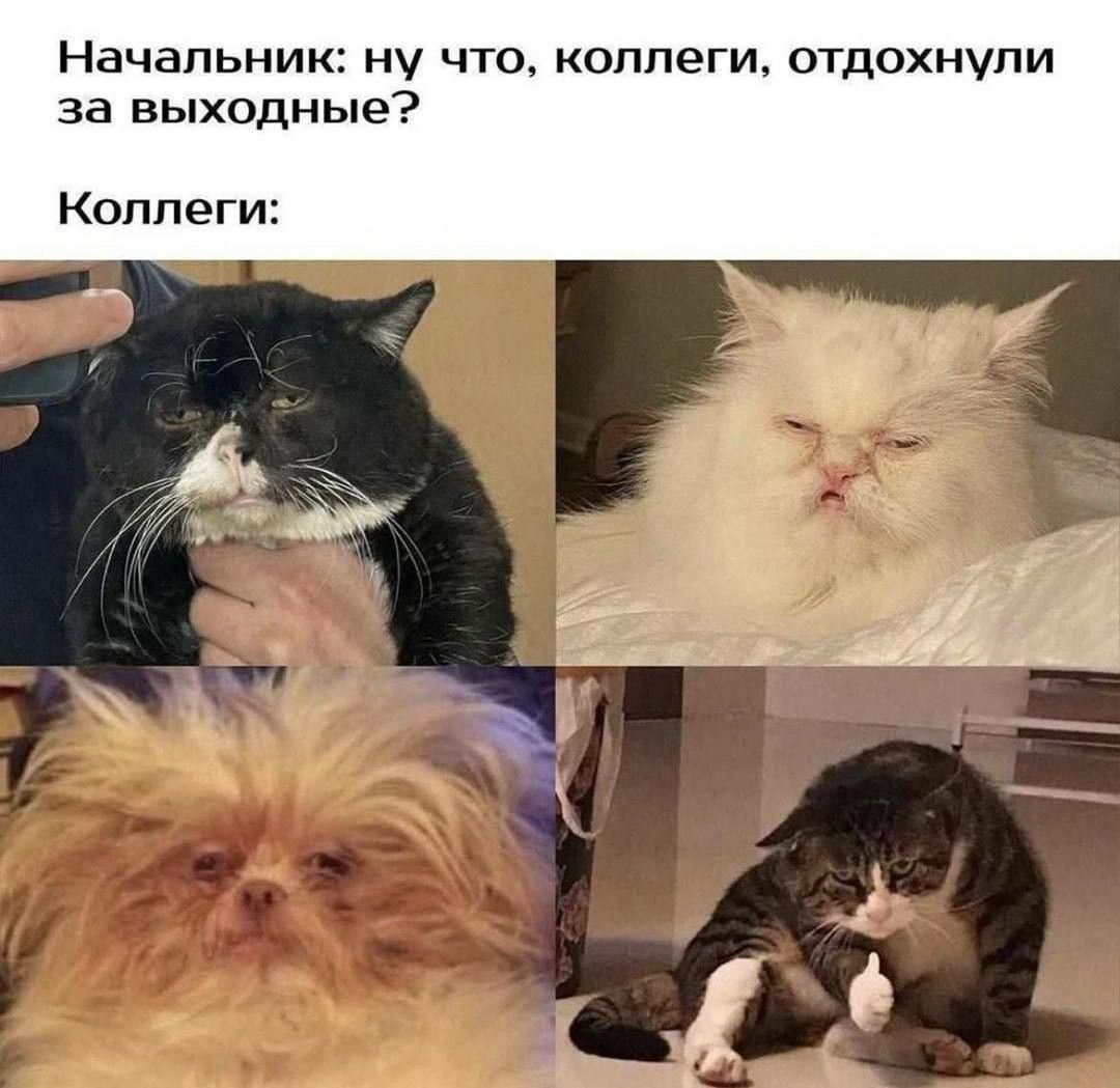 Начальник: ну что, коллеги, отдохнули за выходные? Коллеги: