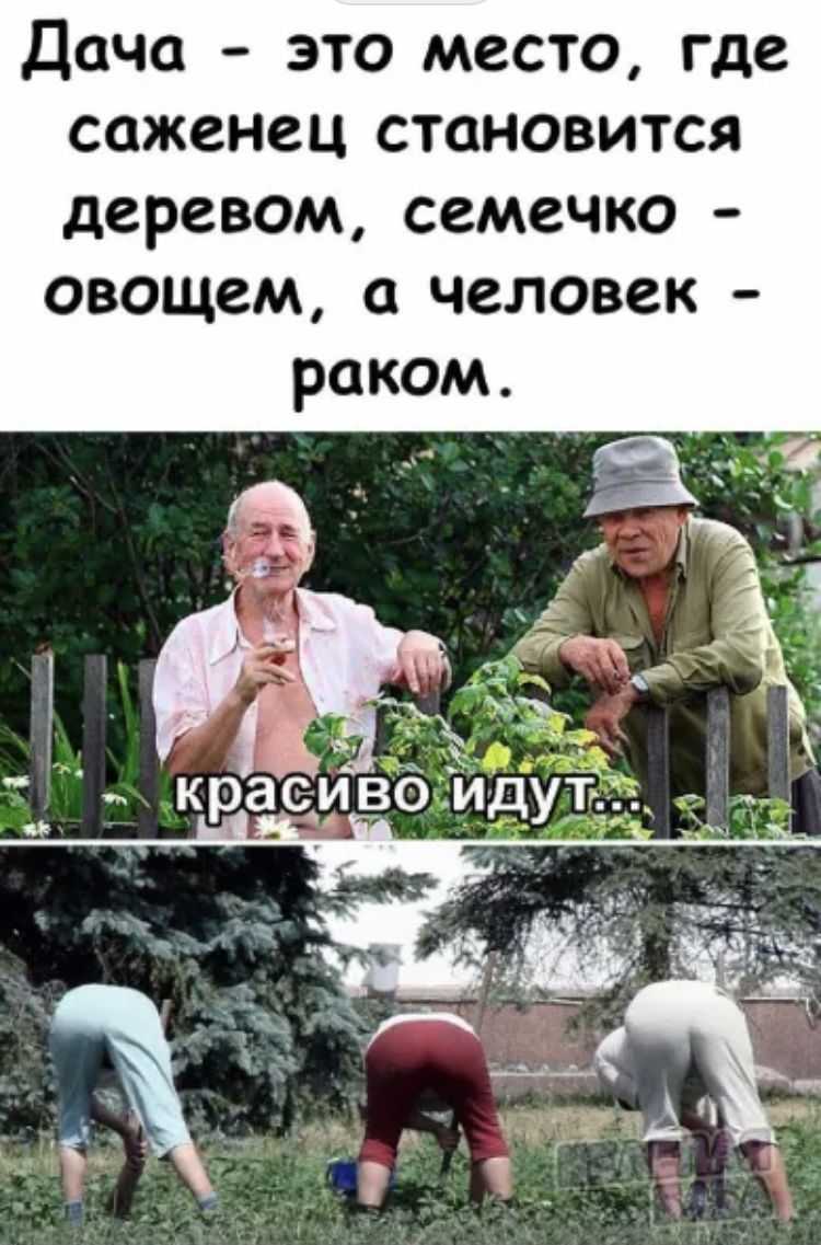 Дача - это место, где саженец становится деревом, семечко - овощем, а человек - раком. красиво идут...