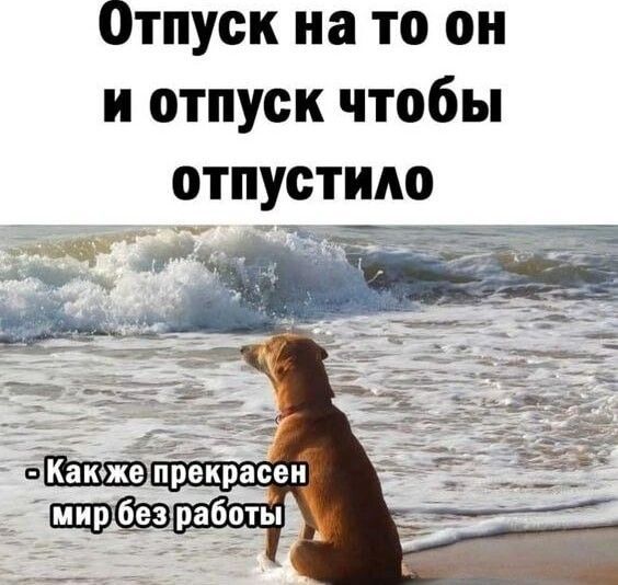 Отпуск на то он и отпуск чтобы отпустило
- Как же прекрасен мир без работы