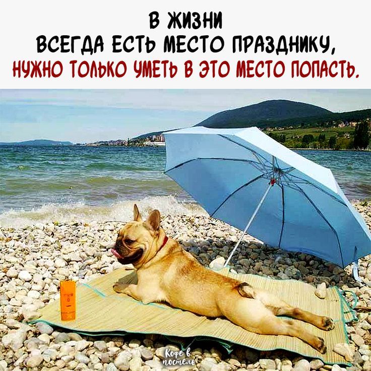 В жизни всегда есть место празднику, нужно только уметь в это место попасть.