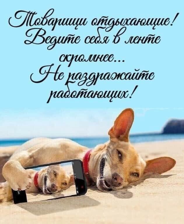 Товарищи отдыхайте! Ведите себя в ленто скромнее... Не раздавайте работающих!