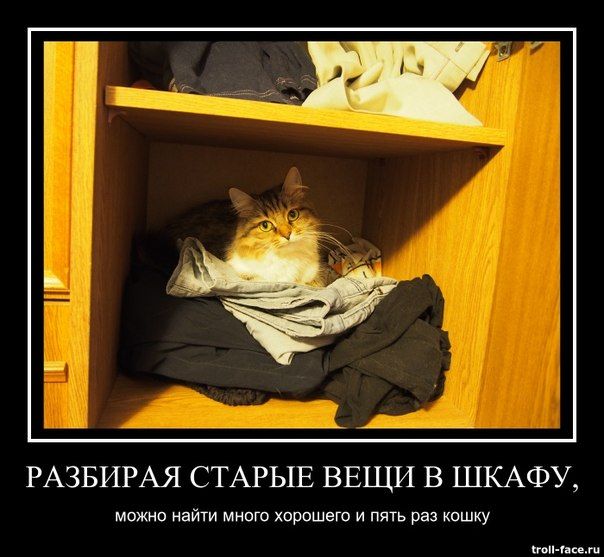 РАЗБИРАЯ СТАРЫЕ ВЕЩИ В ШКАФУ, можно найти много хорошего и пять раз кошку