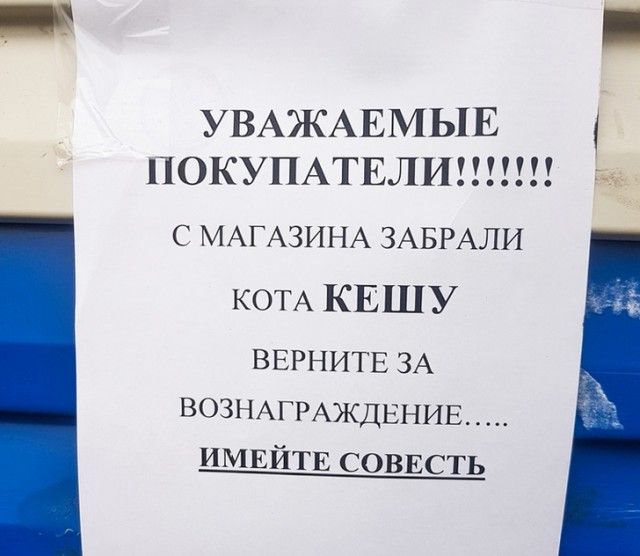 УВАЖАЕМЫЕ ПОКУПАТЕЛИ!!!!!!! С МАГАЗИНА ЗАБРАЛИ КОТА КЕШУ ВЕРНИТЕ ЗА ВОЗНАГРАЖДЕНИЕ..... ИМЕЙТЕ СОВЕСТЬ