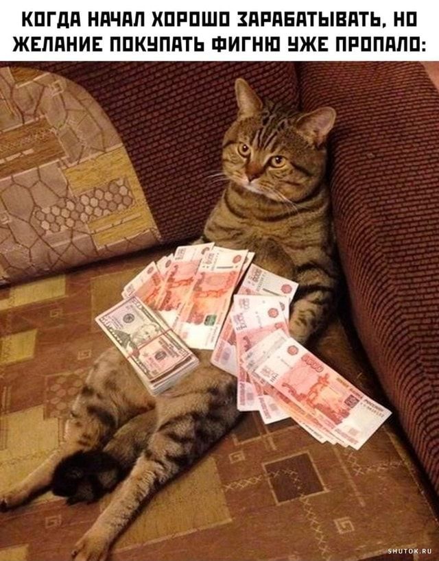 КОГДА НАЧАЛ ХОРОШО ЗАРАБАТЫВАТЬ, НО ЖЕЛАНИЕ ПОКУПАТЬ ФИГНУ УЖЕ ПРОПАЛО:
