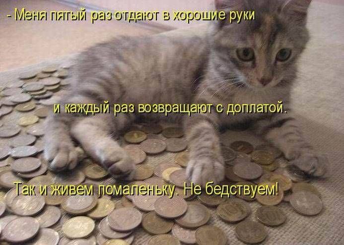- Меня пятый раз отдают в хорошие руки
и каждый раз возвращают с доплатой.
Так и живем помаленьку. Не бедствуем!