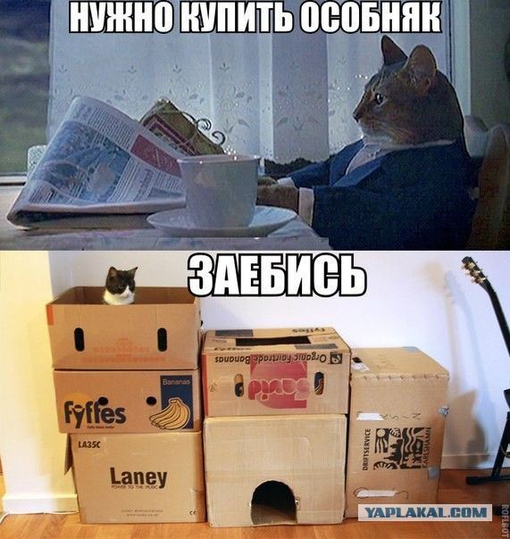 НУЖНО КУПИТЬ ОСОБНЯК
ЗАЕБИСЬ