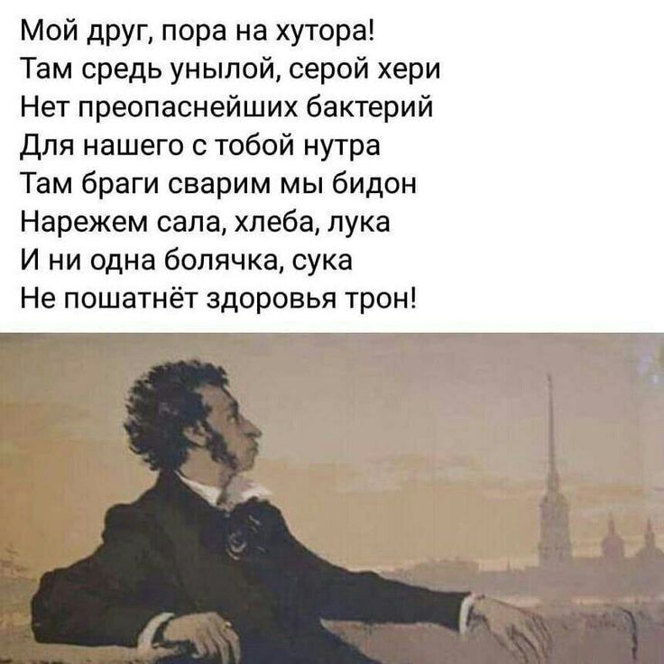 Мой друг, пора на хуторa! Там середь унылой, серой хери Нет препонаснейших бактерий Для нашего с тобой нутра Там браги сварим мы бидон Нарежем сала, хлеба, лука И ни одна болячка, сука Не пошатнёт здоровья трон!