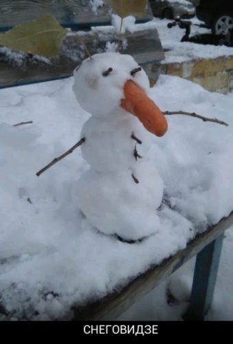 СНЕГОВИДЗЕ