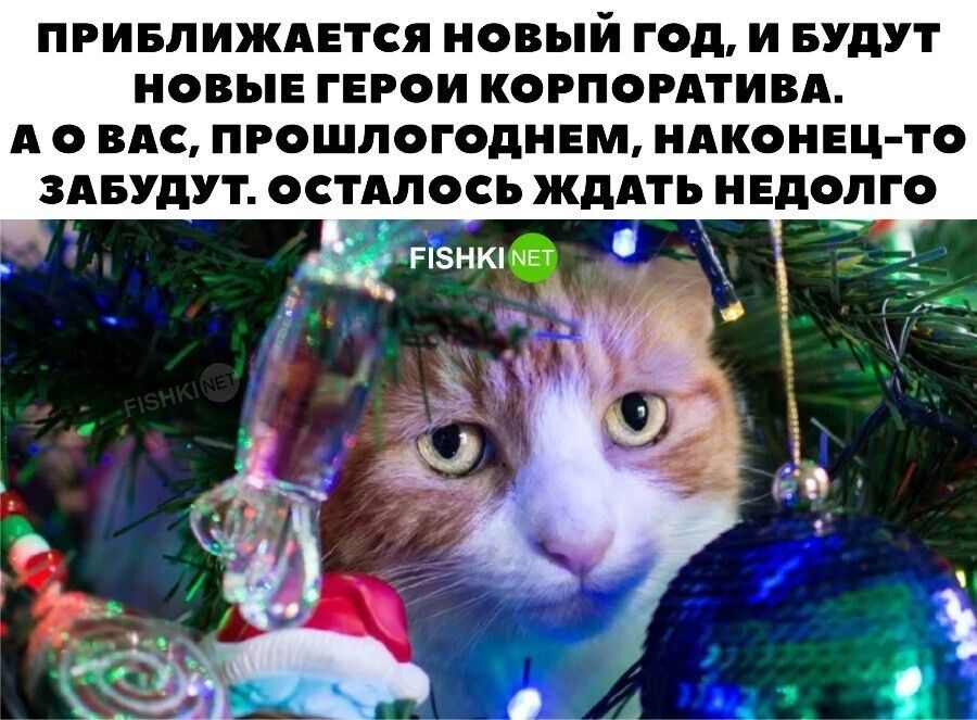 ПРИБЛИЖАЕТСЯ НОВЫЙ ГОД, И БУДУТ НОВЫЕ ГЕРОИ КОРПОРАЦИИ. А О ВАС, ПРОШЛОГОДНЕМ, НАКОНЕЦ-ТО ЗАБУДУТ. ОСТАЛОСЬ ЖДАТЬ НЕДЕЛЮ
