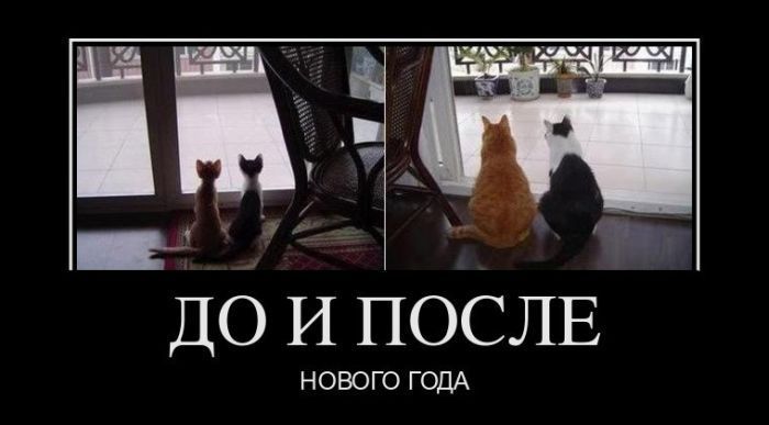 До и после нового года