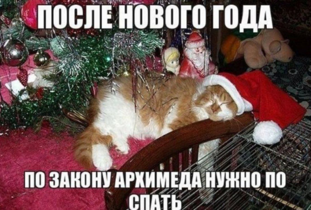 ПОСЛЕ НОВОГО ГОДА
ПО ЗАКОНУ АРХИМЕДА НУЖНО ПОСПАТЬ