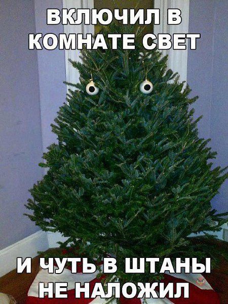 ВКЛЮЧИЛ В КОМНАТЕ СВЕТ И ЧУТЬ В ШТАНЫ НЕ НАЛОЖИЛ