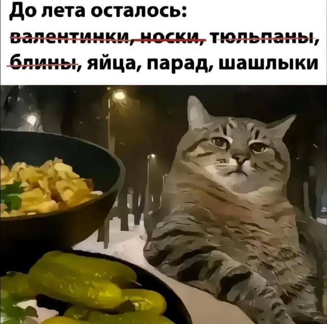 До лета осталось: валентинки, носки, тюльпаны, блины, яйца, парад, шашлыки