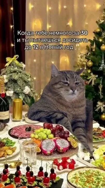 Когда тебе немного за 30 и ты пытаешься досидеть до 12 в Новый год