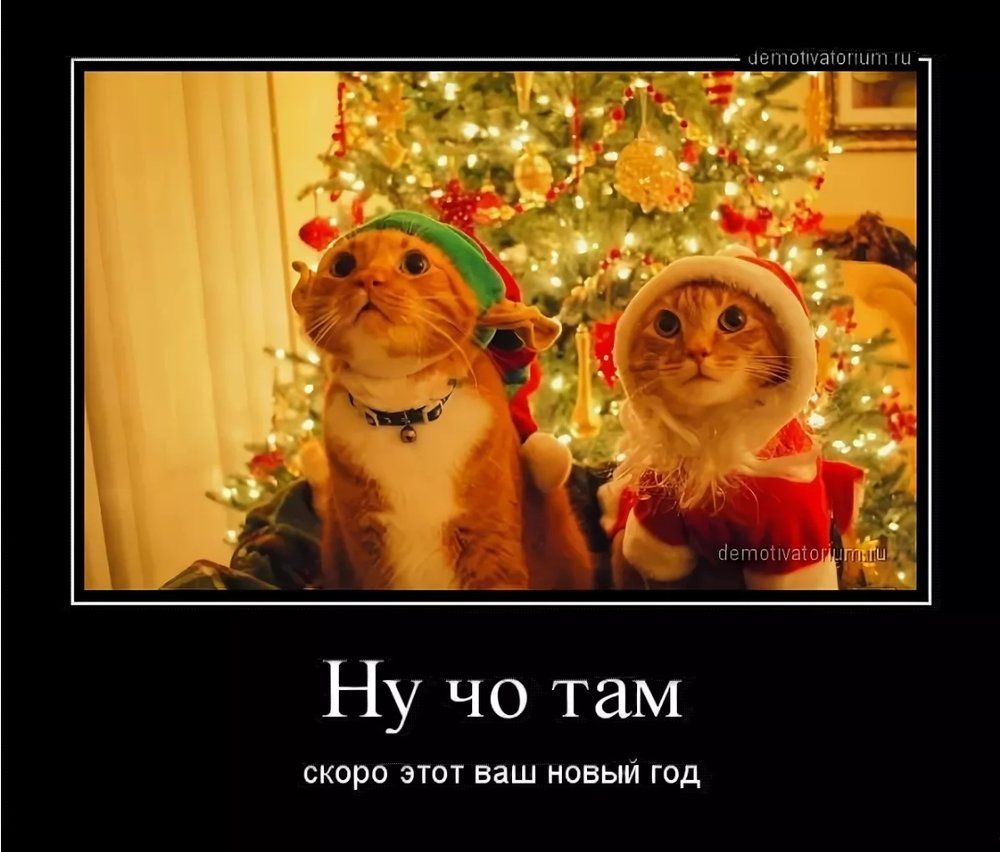 Ну что там
скоро этот ваш новый год