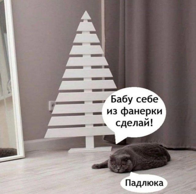 Бабу себе из фанерки сделай! Падлюка