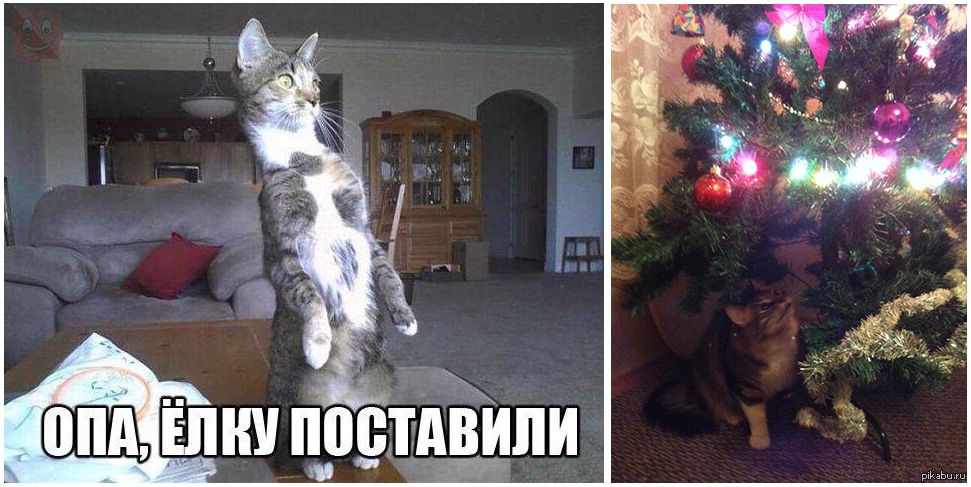 Опа, ёлку поставили