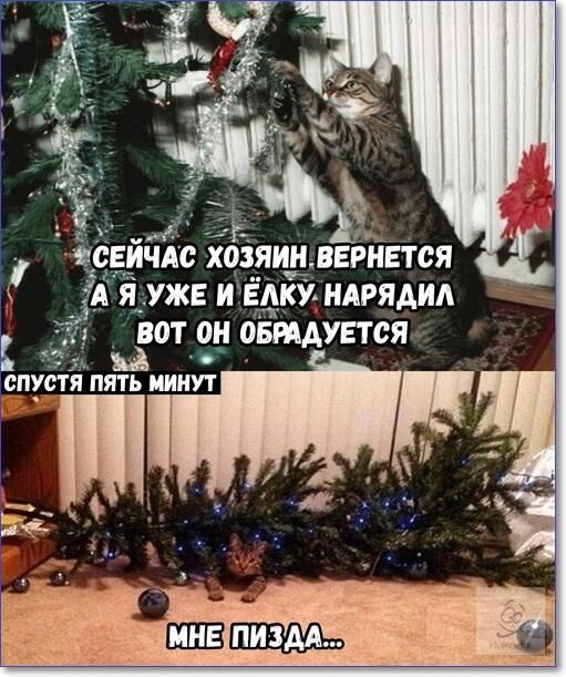 СЕЙЧАС ХОЗЯИН ВЕРНЕТСЯ А Я УЖЕ И ЁЛКУ НАРЯДИЛ ВОТ ОН ОБРАДУЕТСЯ. СПУСТЯ ПЯТЬ МИНУТ МНЕ ПИЗДА...