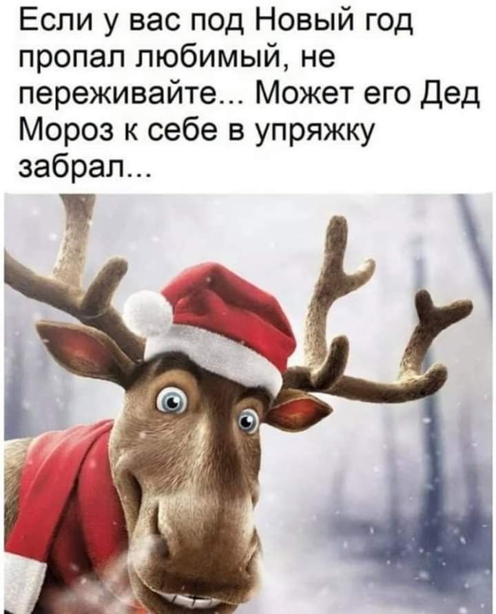 Если у вас под Новый год пропал любимый, не переживайте... Может его Дед Мороз к себе в упряжку забрал...