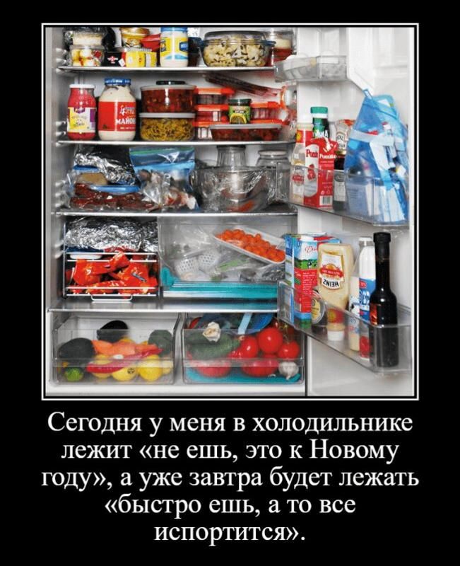 Сегодня у меня в холодильнике лежит «не ешь, это к Новому году», а уже завтра будет лежать «быстро ешь, а то все испортится».