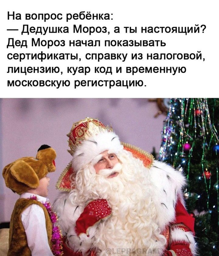 На вопрос ребёнка: — Дедушка Мороз, а ты настоящий? Дед Мороз начал показывать сертификаты, справку из налоговой, лицензию, коau код и временную московскую регистрацию.