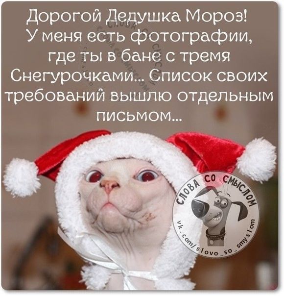 Дорогой Дедушка Мороз! У меня есть фотографии, где ты в бане с тремя Снегурочками... Список своих требований вышло отдельным письмом...