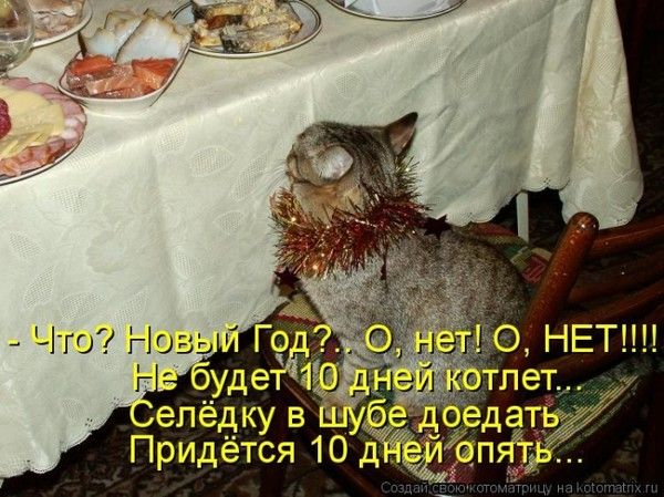 - Что? Новый Год? О, нет! О, НЕТ!!!! Не будет 10 дней котлет. Селёдку в шубе доедать. Придётся 10 дней опять...